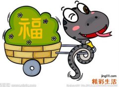 梦见蛇什么征兆，做梦梦到蛇缠在头上咬了后脑勺