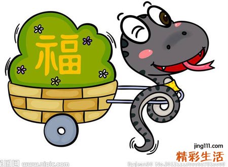 梦见蛇什么征兆，做梦梦到蛇缠在头上咬了后脑勺