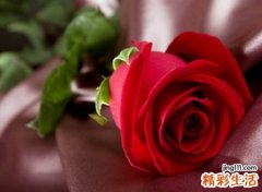 微信谈恋爱必备网名，异地恋专属的微信名字