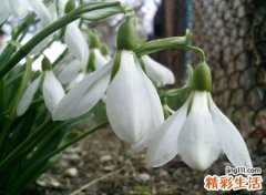2020抖音励志网名，抖音正能量励志个性名字