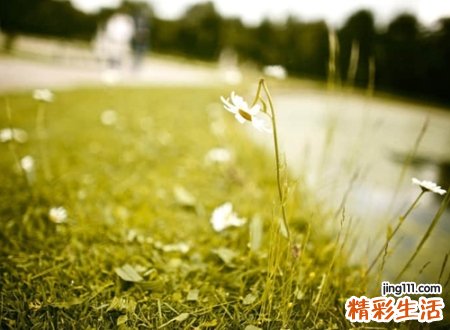经典时尚的微信个性网名，独一无二有深意的微信昵称