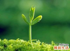 2020经典时尚的抖音网名，今年最新版抖音昵称