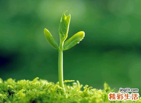 2020经典时尚的抖音网名，今年最新版抖音昵称