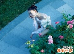 逆光下的虞美人最火的快手昵称，人气高涨粉快的女生网名