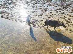 梦见家里发洪水好不好，做梦梦到发洪水却平安无事