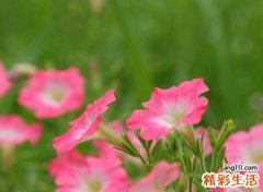 似水昔浮流年搭配能火的网名，独特微信昵称新颖有诗意