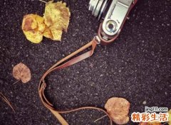 中庸之道看透不说透的装糊涂网名，易被围观最吸引人的火山昵称