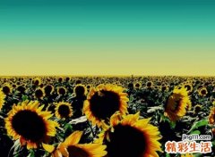 看淡一切善待自己的成熟昵称，内心平淡安静的微信网名