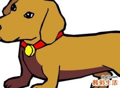 梦见苍蝇是什么意思，做梦梦到死狗身上有很多苍蝇