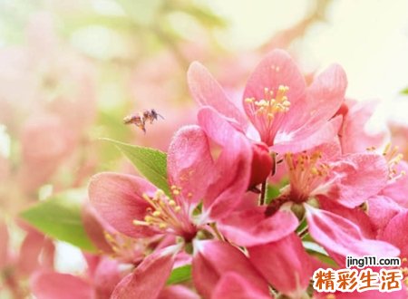快手上最好最火的网红名字，捕获芳心的快手热门昵称