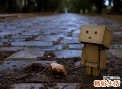 活着不易潇洒任性的随性网名，快手昵称流年里肆意