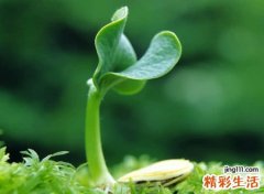 带有江湖气息的网名，有情调诗意绵绵的微信昵称