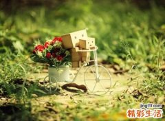 简约唯美的古风网名，森系小清新的文艺昵称