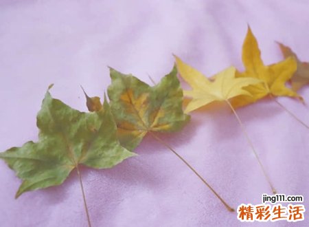 唯美复古森系的文艺名字，微信网名高雅有意境