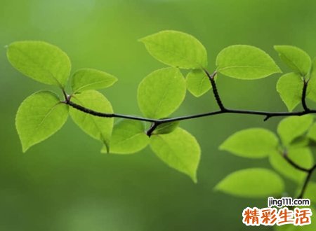 罕见好听有意境的古风名字，唯美网名一场遇见爱情的旅行