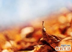 心痛伤感最心酸的昵称，文艺小青年伤感的文艺网名