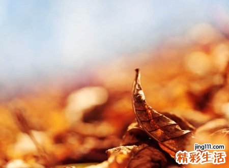 心痛伤感最心酸的昵称，文艺小青年伤感的文艺网名