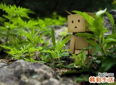 心冷如冰最心酸的昵称，哲理网名明月抚平岁月的伤痕