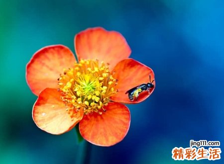 稀有好看带特殊符号的网名，漂亮有新意的个性昵称