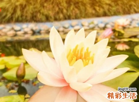 简单又含深意的内涵网名，抖音昵称你是我的小宇宙