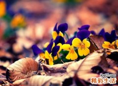 成熟有意境的深度网名，暖心有内涵低调昵称