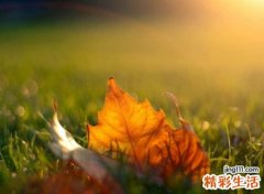 超拽狠心的颓废昵称，稀罕人的qq网名颓而不废