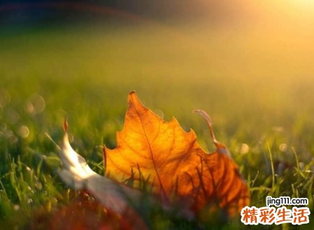 超拽狠心的颓废昵称，稀罕人的qq网名颓而不废