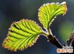 激励自己奋斗的哲理网名，有内涵有道理的励志昵称