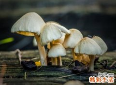 比较简约有含义的网名，有内涵特殊意义的微信昵称