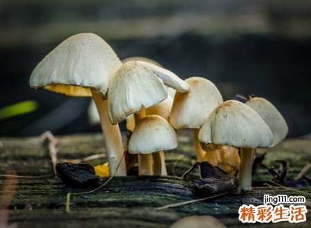 比较简约有含义的网名，有内涵特殊意义的微信昵称