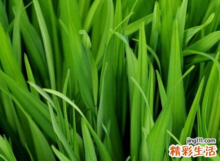 励志qq网名，激励自己奋斗的正能量昵称