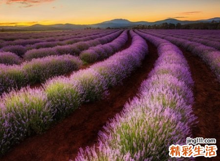 好听好记吸引人的网名，稳重成熟的qq个性昵称