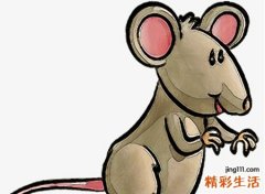 梦见被子是好是坏，做梦梦到新婚被子被老鼠咬了一个洞
