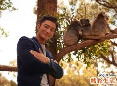 内心成熟男人的网名，男生昵称真假感情看透不说破