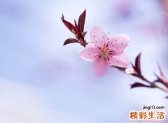 简单有内涵的抖音昵称，抖音取个有气质的名字