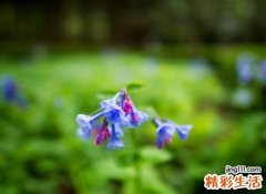 ins风原宿网名，唯美好听的高端ins风昵称