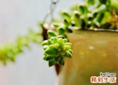 5个字网名好听又吸引人，独一无二的五字id干净古风版