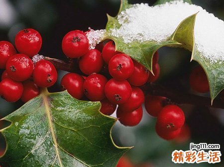 梦见死人复活预示什么，做梦梦到死人复活还说话了