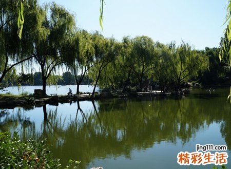 梦见被水淹啥预兆，梦到亲戚被水淹死了