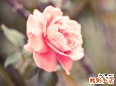 取什么网名好听又优雅，五个字的微信网名推荐