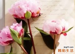 男女通用的好听的网名，经典难忘的个性昵称