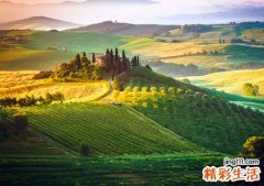 梦见草地有什么寓意，梦到草地里有好多蛇