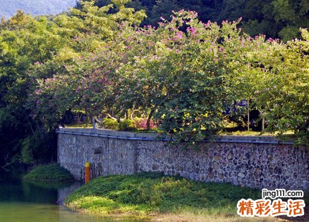 梦见抬死人是什么意思，做梦梦到和别人一起抬死人