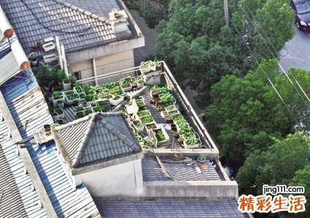 梦见女墙预示什么，做梦梦到女墙向外倒