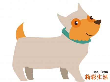 梦见开门啥预兆，梦到开门看见一公一母两只狗