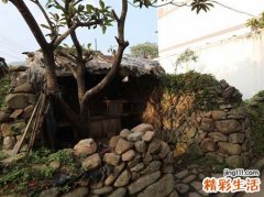梦见茅坑啥意思，梦到去茅坑拉屎被狗咬手了