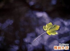 四个字简约古风网名，难懂有深意的清雅唯美昵称
