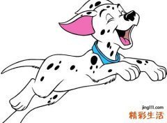 梦见白狗好不好，做梦梦到一只白狗咬住我的手不放