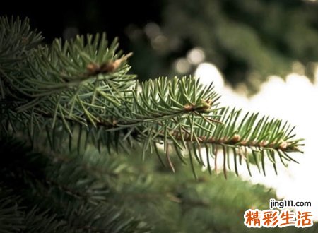 最好的群名，比较有意思的微信创意群名