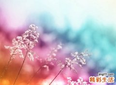 4个字最好的微信昵称，简洁好听的四字微信名字
